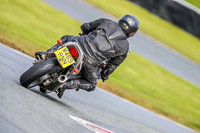 Oulton-Park-14th-March-2020;PJ-Motorsport-Photography-2020;anglesey;brands-hatch;cadwell-park;croft;donington-park;enduro-digital-images;event-digital-images;eventdigitalimages;mallory;no-limits;oulton-park;peter-wileman-photography;racing-digital-images;silverstone;snetterton;trackday-digital-images;trackday-photos;vmcc-banbury-run;welsh-2-day-enduro